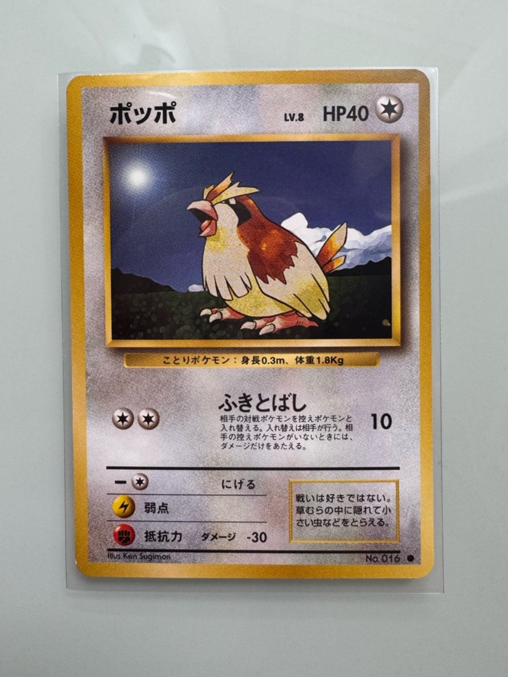 Pidgey Pokemon Card